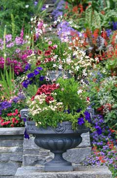container flower gardening