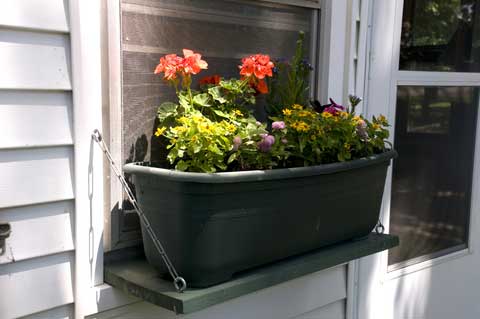 unusual containers for flowers