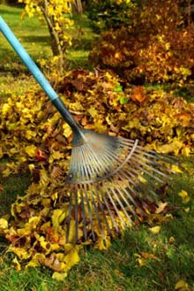 fall garden cleanup