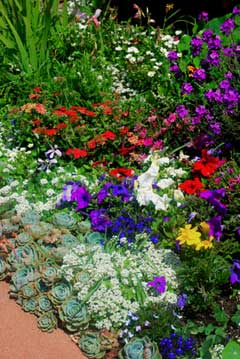 flower gardening