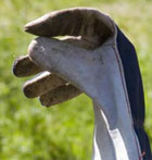rose gardening glove