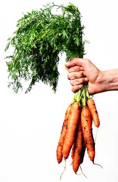 vegetablegardening tip